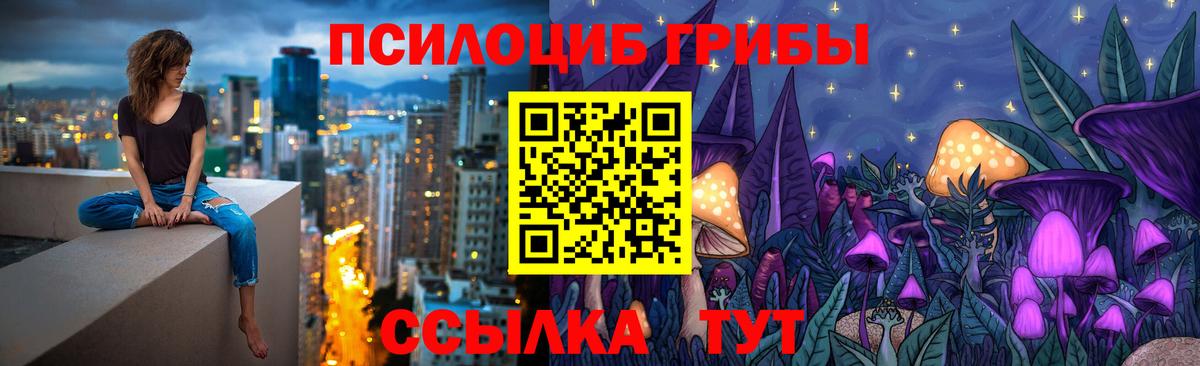 Галлюциногенные грибы GOLDEN TEACHER Трёхгорный